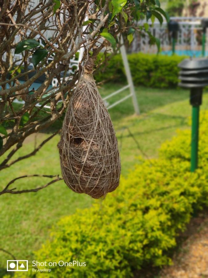 New Hemanjali Resort ボルプル エクステリア 写真